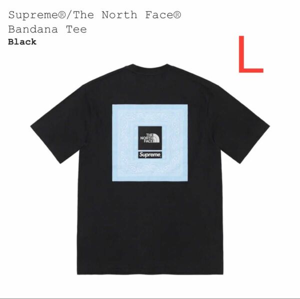 【黒L】Supreme / The North Face Bandana Tee