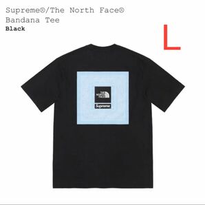 【黒L】Supreme / The North Face Bandana Tee