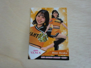 BBM 2023 華　68 飯塚りの VENUS 読売ジャイアンツプロ野球チアリーダーカード DANCING HEROINE