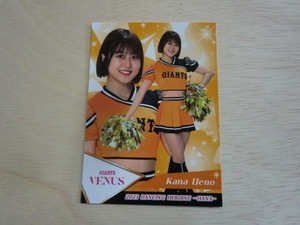 BBM 2023 華　69 上野華菜 VENUS 読売ジャイアンツプロ野球チアリーダーカード DANCING HEROINE