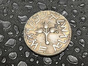 レプリカ 古代ローマ コイン エルサレム ユダヤ戦争 ザクロ 聖杯 AD68 アンティーク キーホルダーペンダントお守りなどに RM32