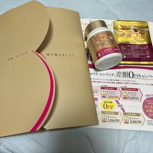 チョコラBB 美 チョコラ 90粒