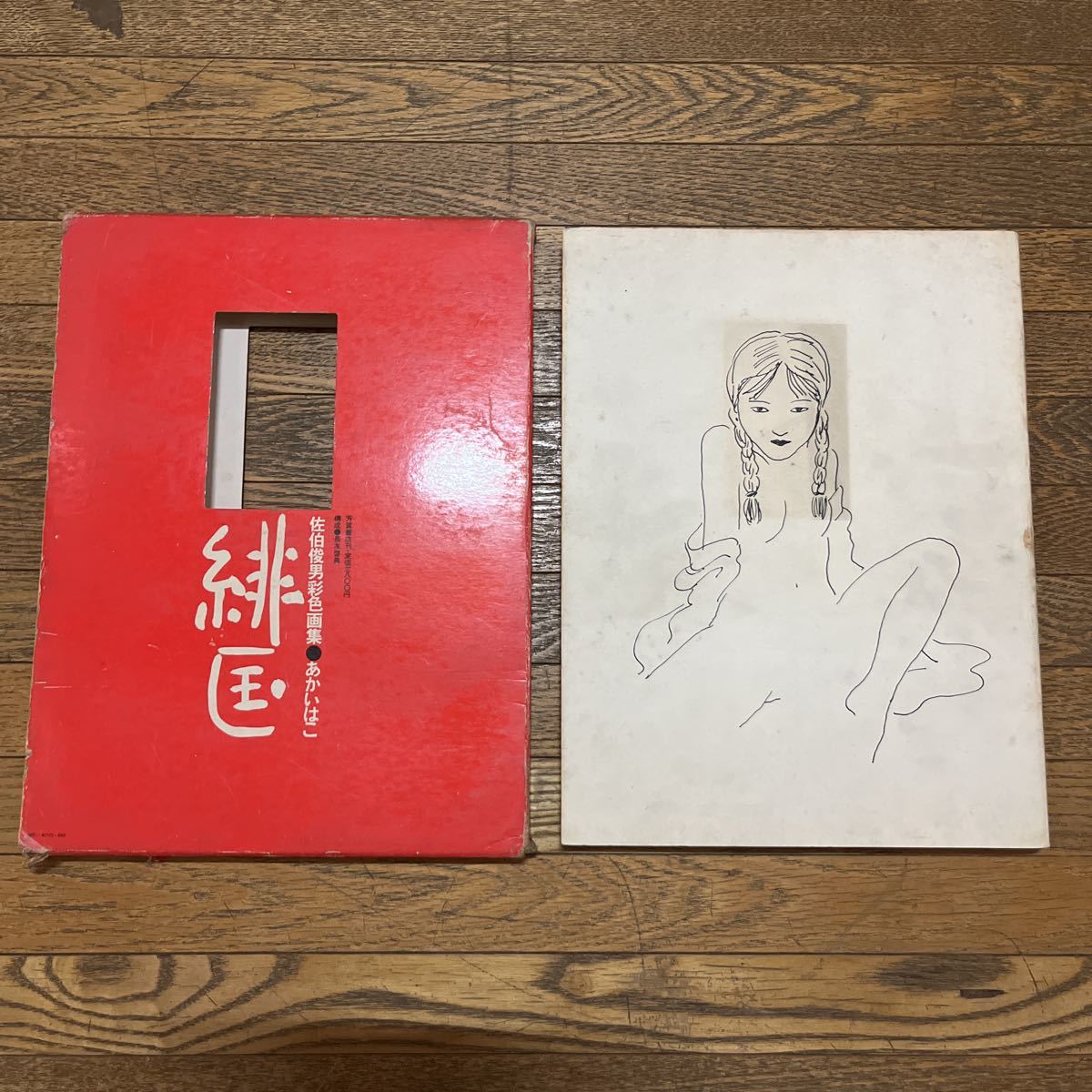 ヤフオク! -「佐伯俊男」(画集、作品集) (絵画)の落札相場・落札価格