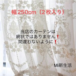 2番-白刺繍 レース 北欧 目隠し 【2枚入り】　【幅250cm】フックタイプ