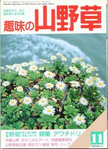 F45〇趣味の山野草　1989年11月号　特集：野菊　秋風に揺れ清楚に気高く咲く花　錦蘭　アワチドリ (2308)