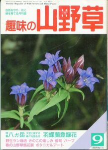 F45〇趣味の山野草　1989年9月号　特集：八ガ岳　羽蝶蘭登録花　野生ラン栽培 (2308)