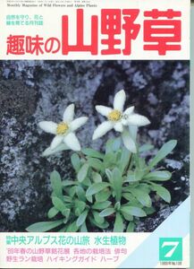 F45〇趣味の山野草　1989年7月号　特集：中央アルプス花の山旅 (2308)