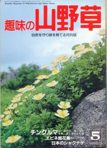 F24〇趣味の山野草　1990年5月号　特集：チングルマ　エビネ銘花集　日本のシャクナゲ (2308)