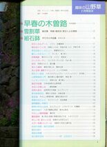 F24〇趣味の山野草　1990年2月号　特集： 早春の木曾路　雪割草　組石鉢(2308)_画像2