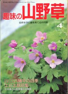 F34〇趣味の山野草　1991年4月号　特集：おおらかな高原台地八幡平の四季　エビネ銘花集＜1＞　（230810）