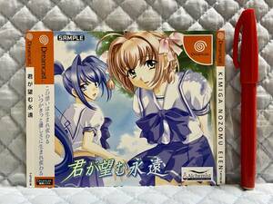 【非売品 サンプルダミージャケットのみ】君が望む永遠【2002年製 未使用品 告知 販促】ドリームキャスト Dreamcast セガ SEGA DC