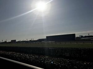 競馬予想マニュアル