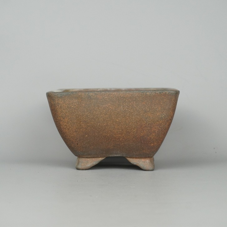 盆栽鉢 常滑焼 ウ泥 南蛮皿 W25.5cm×D19.5cm×H3.5cm（8号）【アウトレット品】【送料B】