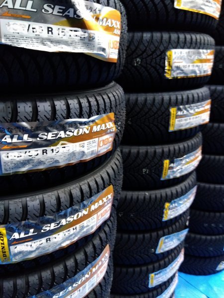 ダンロップ ALL SEASON MAXX AS1 165/55R14 72H オークション比較