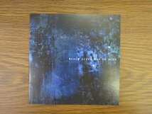 〒★Alice In Chains Black Gives Way To Blue USED CD_画像6