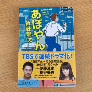 あぽやん （文春文庫　し４５－２） 新野剛志／著