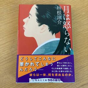 月は怒らない （集英社文庫　か６４－１） 垣根涼介／著