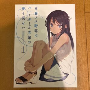 Blu-ray 青春ブタ野郎はバニーガール先輩の夢を見ない 特典付き
