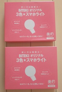 美的2017年7月号付録特別付録 オリジナル3色スマホライト2個セット セルフィー