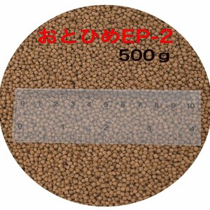 日清丸紅飼料 おとひめEP2(約1.9～約2.0mm) 500g 沈降性(沈下性) 金魚 アロワナ 肉食魚にの画像1