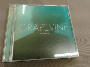 GRAPEVINE CD Burning tree(初回限定版)