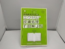 エクセルで成績処理『図解』基本技集 大渕健二_画像1