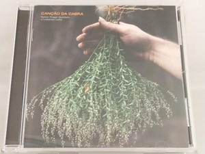 【Sylvio Fraga Quinteto & Letieres Leite】 CD; カンサォン・ダ・カブラ