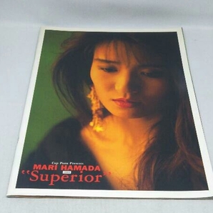 【※汚れ有り】浜田麻里 ツアーパンフレット 1990 'Superior'の画像1