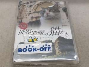 DVD シンフォレストDVD 世界遺産の猫たち Cats of the World Heritage