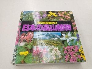 日本の高山植物 豊国秀夫