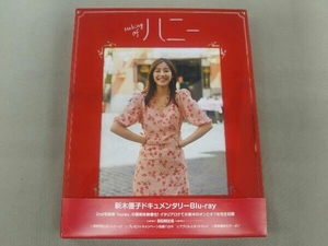 帯あり 新木優子『Making of ハニー』(初回限定版)(Blu-ray Disc)