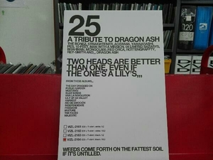 (V.A.) CD 25 -A Tribute To Dragon Ash-(完全生産限定25th Anniversary BOX D)(Tシャツ黒XL付)