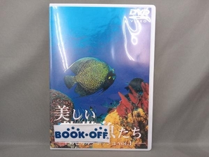 DVD 美しい熱帯魚たち-トロピカルフィッシュ- VOL.1