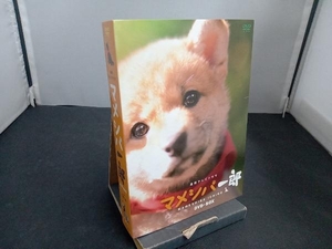 DVD 連続テレビドラマ マメシバ一郎 DVD-BOX