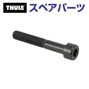 TH1500031335 THULE スペアパーツ ボルト 919-0640-11 40MM (ルーフマウントサイクルキャリア Thule Wheelholder 545-2) 送料無料