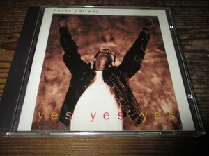 peter gallway / yes yes yes (廃盤送料込み!!)