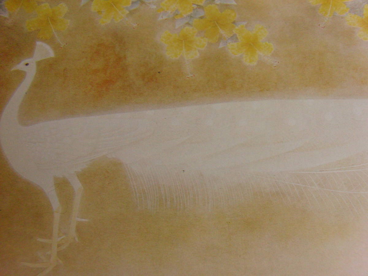 Shoko Uemura, Paon blanc, Peintures encadrées tirées de livres d'art rares, Livré avec un tapis sur mesure, Fabriqué au Japon, tout neuf et encadré., Bonne condition, livraison gratuite, peinture, peinture à l'huile, dessin d'animaux