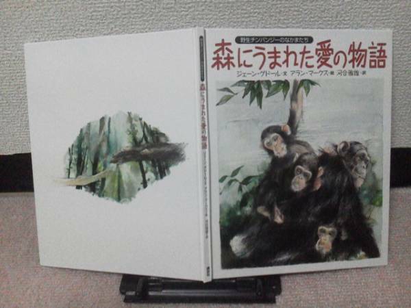 【送料込み】初版『森にうまれた愛の物語』マークス/グドール