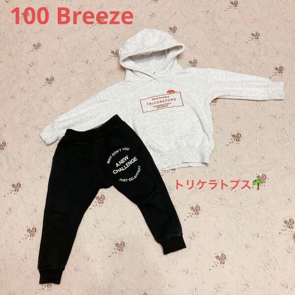 breeze 100 パーカー　ズボン　スウェット　トリケラトプス　恐竜 スウェットパンツ 長袖 裏起毛