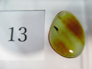 * insect entering amber *ko Haku * bar to sea *No.13* free shipping 