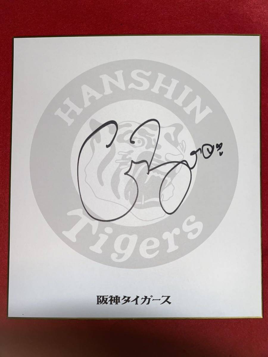 Hanshin 98 Bradley Brewer C.BREWER Autograph Team Papier coloré original, base-ball, Souvenir, Produits liés, signe