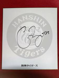 Art hand Auction Hanshin 98 Bradley Brewer C.BREWER Autograph Team Original Colored Paper, baseball, Souvenir, Related goods, sign