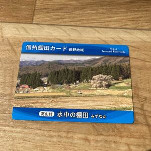 信州棚田カード　水中の棚田　長野県　高山村　公共カード