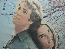 s ポスター ある愛の詩 Love Story 1970年 アーサー・ヒラー ライアン・オニール アリ・マッグロー アメリカ映画_画像2