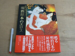 s 明治日本のエロス 秘蔵・性コレクション 河出書房新社 源氏絵 石版画 工芸美術