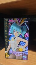 初音ミク　BiCuteBunnies Figure－ストリートver.－_画像3