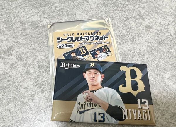 オリックス　シークレットマグネット　宮城大弥