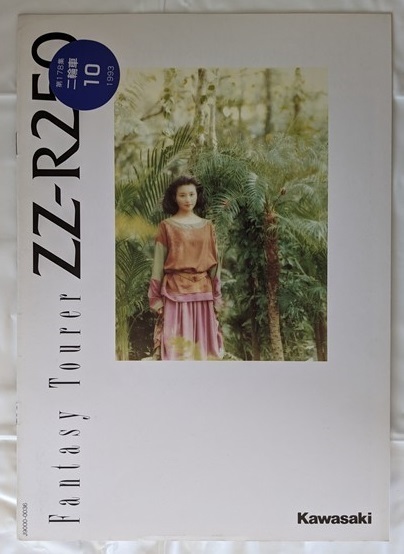 ZZ-R250　(EX250H)　車体カタログ　平成5年2月　ZZ-R250　EX250H　古本・即決・送料無料　管理№ 5998R