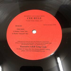 Cee Rule - Can You Feel It　(A12)