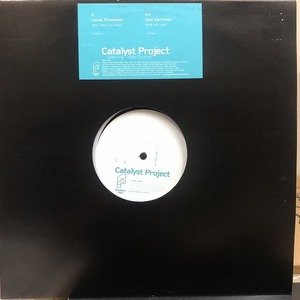 Loose Ensemble / Joel Harrison - Catalyst Project　(A14)